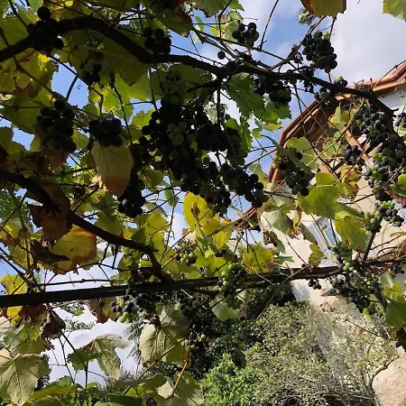 Villa Grappoli - Lakeside Apartments With Balcony And Lake View Lesa