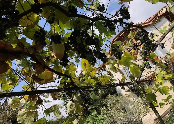 Grappoli Maggiore With View Lesa